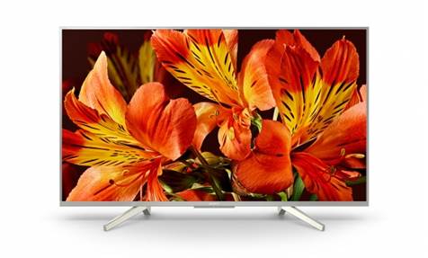 Sony Professional BRAVIA Displays to Offer Cloud Connectivity Through iRevo’s Enterprise Class Digital Signage Solution
