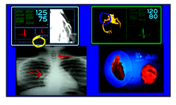 RGB Spectrum Adds Annotator Option to MultiViewer