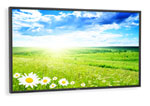 NEC Launches High-Brightness 46″ LCD for DS Market