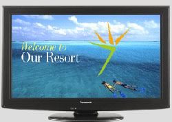 Panasonic Debuts Two New LCD Lines