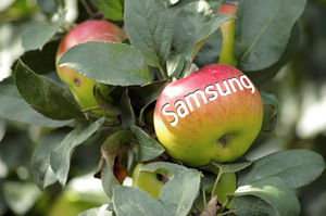 Go Grow Your Own Apple Tree, Samsung!