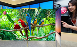 LG to Debut 55″ OLED
