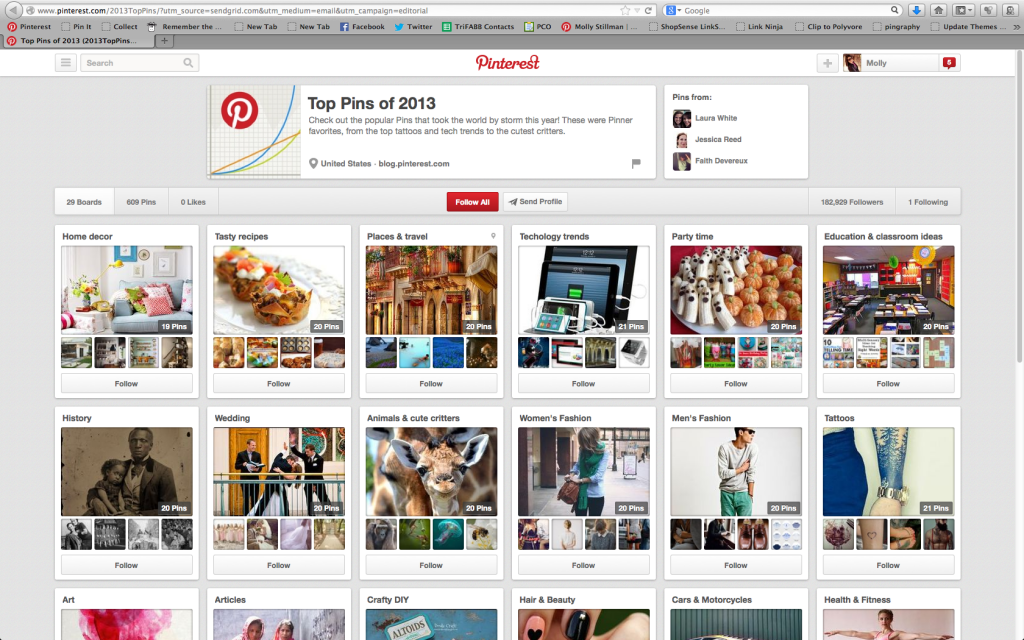 top pins on pinterest 2013