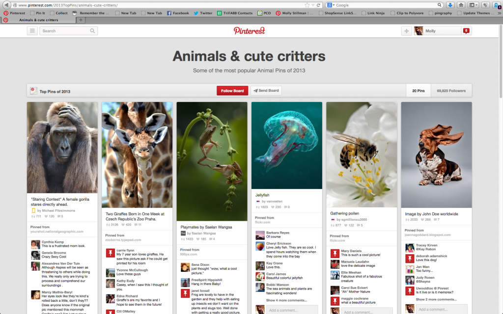 top pins on pinterest 2013