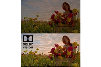 Dolby-Vision-chinnock-0114.jpg
