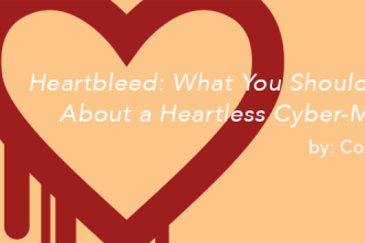 Heartbleed: What You Should Know About a Heartless Cyber-Menace