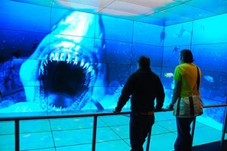 Six of the Coolest AV Installations of All Time