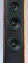 THIEL Audio Introduces the TT1 Loudspeaker
