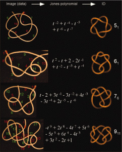 knotting-242x300-0315