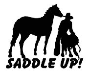 saddle4