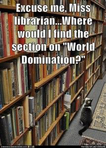 world-domination-0715.jpg