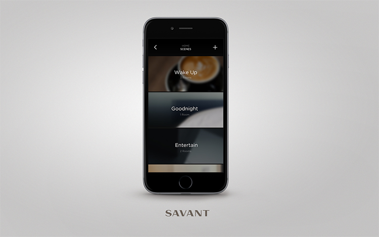 savant-app-1015