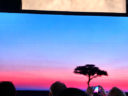 Sony’s Canvas Display — Best of Show at InfoComm 2016?
