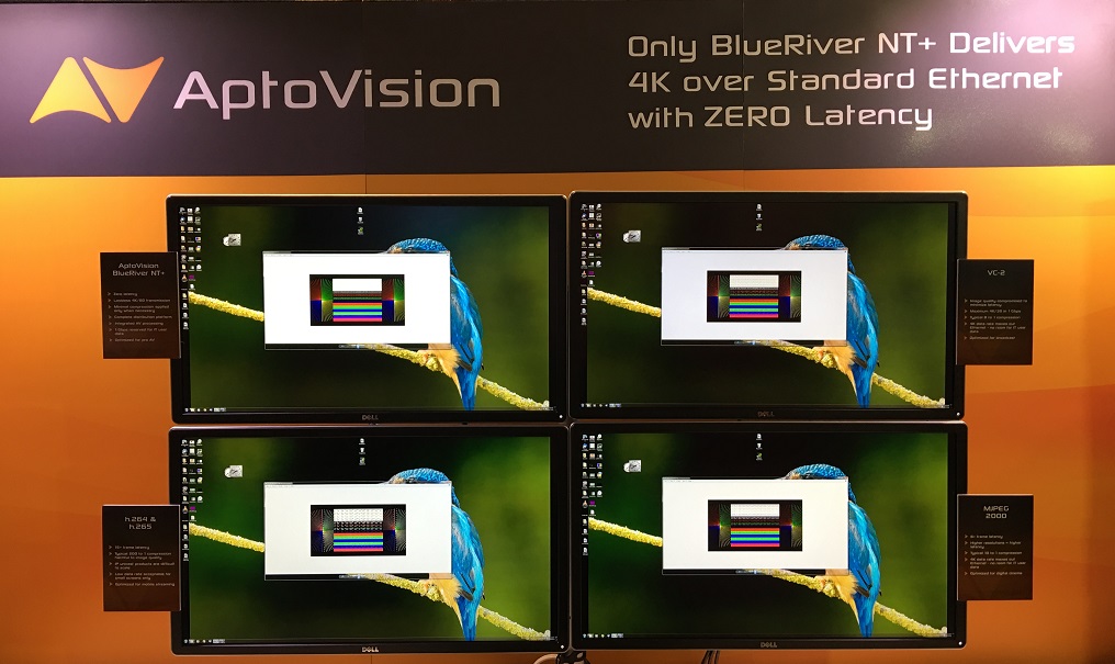 AptoVision_BlueRiver_codec_demo