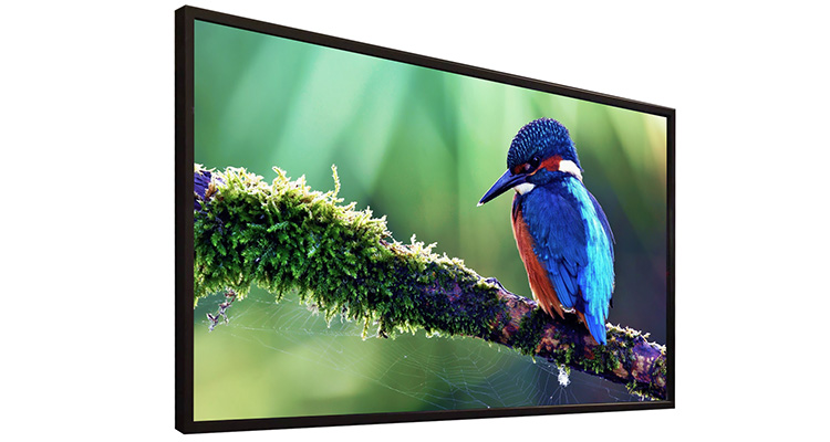 Global Display Solutions Expands the Lite PLUS Series to 98″ 4K Displays