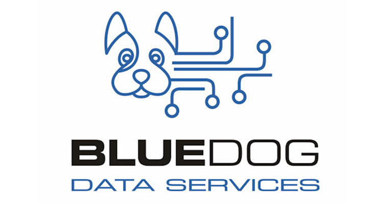 BlueDog Data Services Merges with Audio Design, Inc.