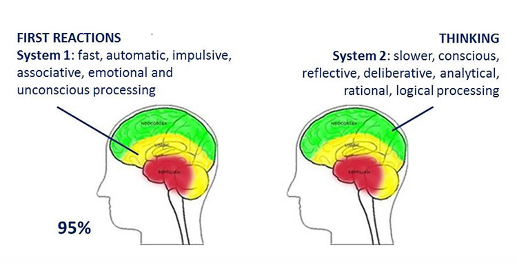 The Customer With Two Brains