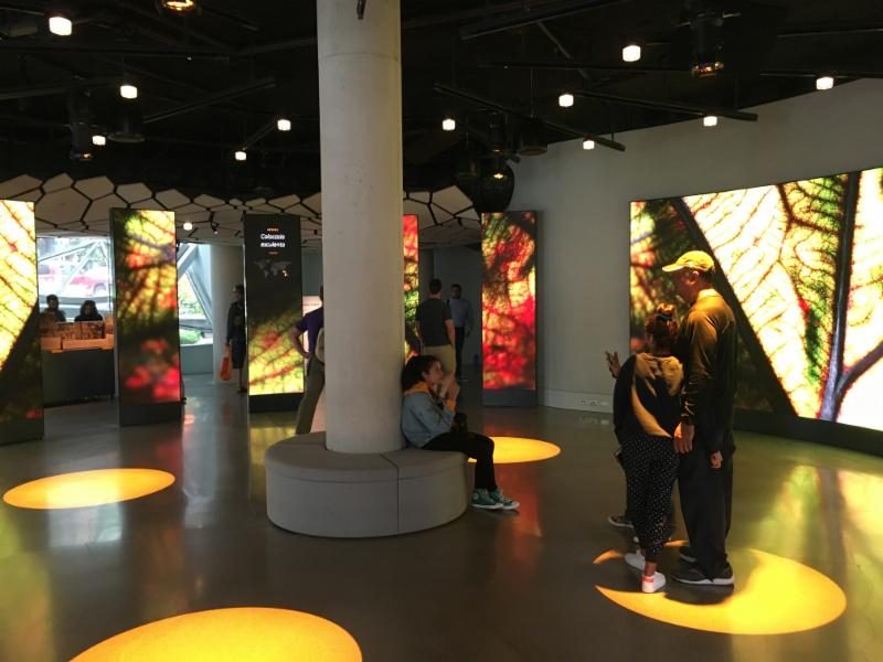 Audio Spotlight Technology Delivers the Story of Nature in  The Spheres at Amazon’s Headquarters