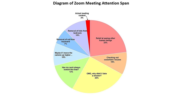 zoom meeting attention span