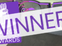 Announcing the 2020 rAVe Readers’ Choice Awards Winners