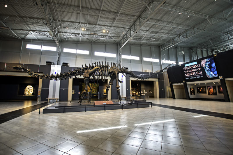 Case Study: LG’s LED Signage ‘On Exhibit’ in a Growing Science Museum