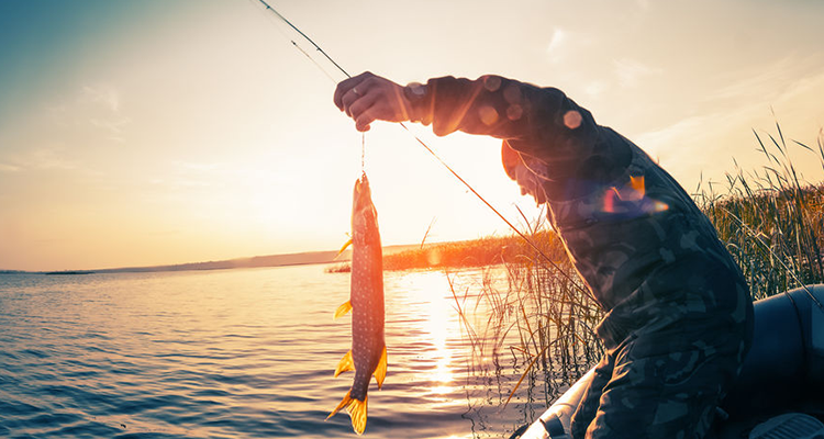 fisherman fishing