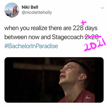 nikibell nikibell