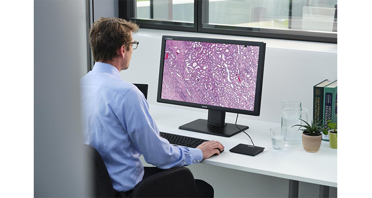 Barco Debuts Medical-Grade Display for Digital Histopathology Market