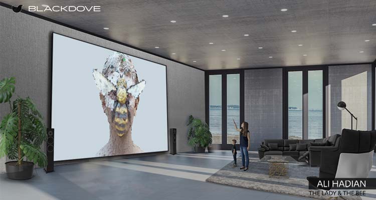 Blackdove Partners With LG Electronics USA for NFT Artwork Availability