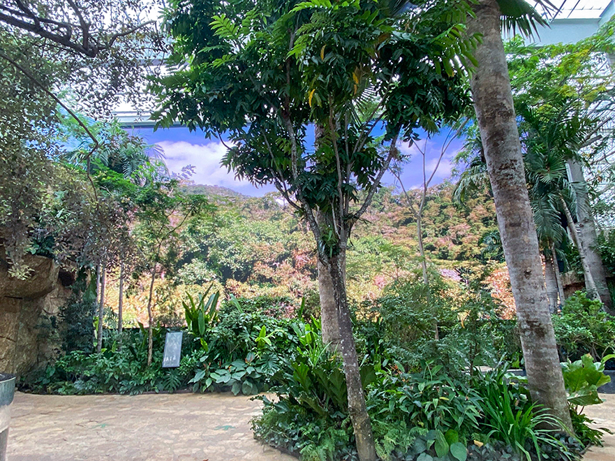 The Dallas World Aquarium Extends Landscape With Massive Videowall rAVe [PUBS]