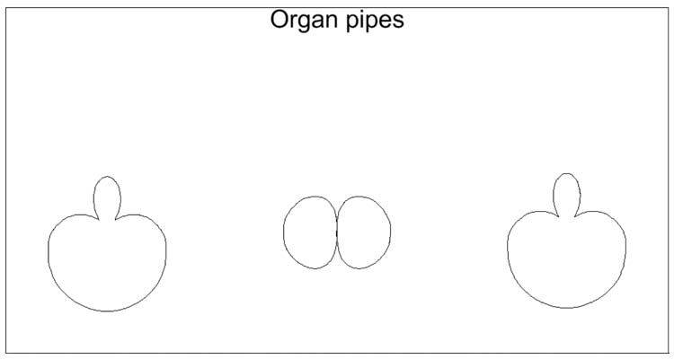 organ pipes