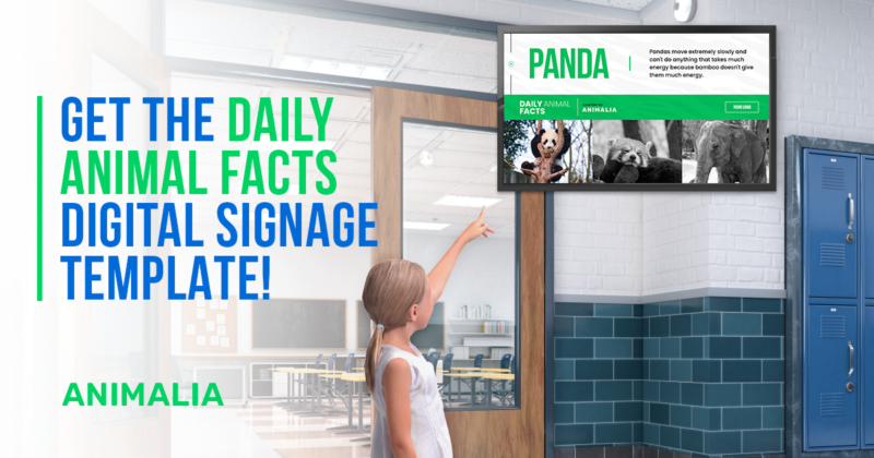 Animalia and Rise Vision Partner to Teach Animal Facts and Statistics Through K-12 Digital Signage