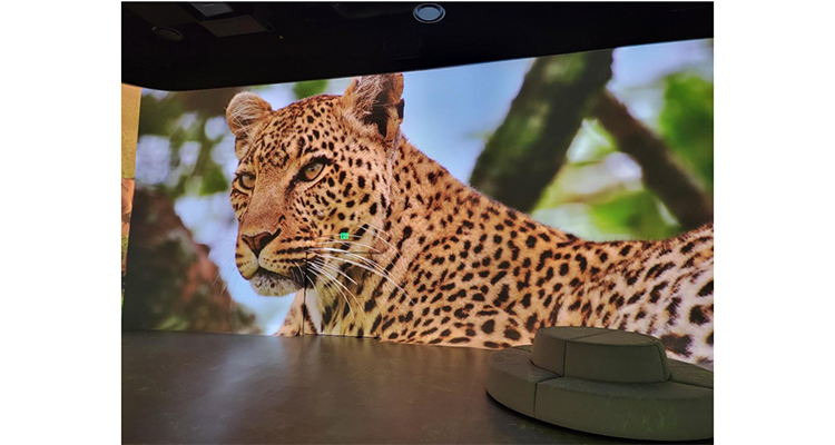 A Successful Digital Signage Experience for Experiential Entertainment Centers