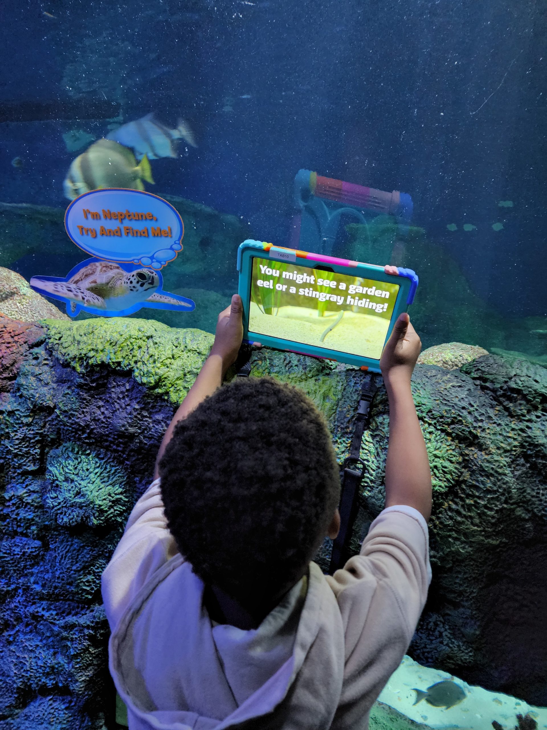 SEA LIFE Charlotte Concord ARtGlass Tablet 6