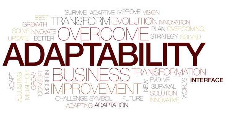 adaptability 1