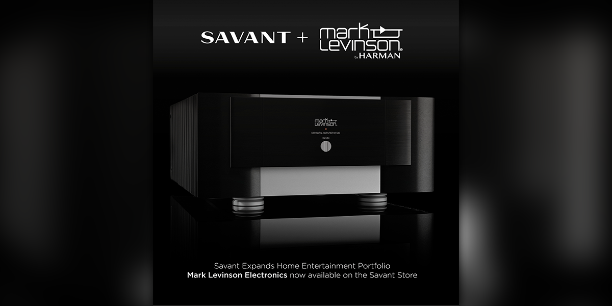 savant mark levinson