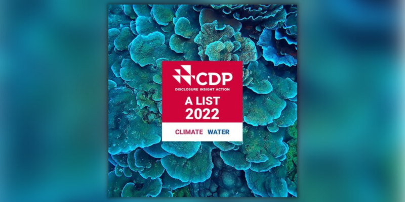 CDP Adds Sony Corporation to Its AList rAVe [PUBS]