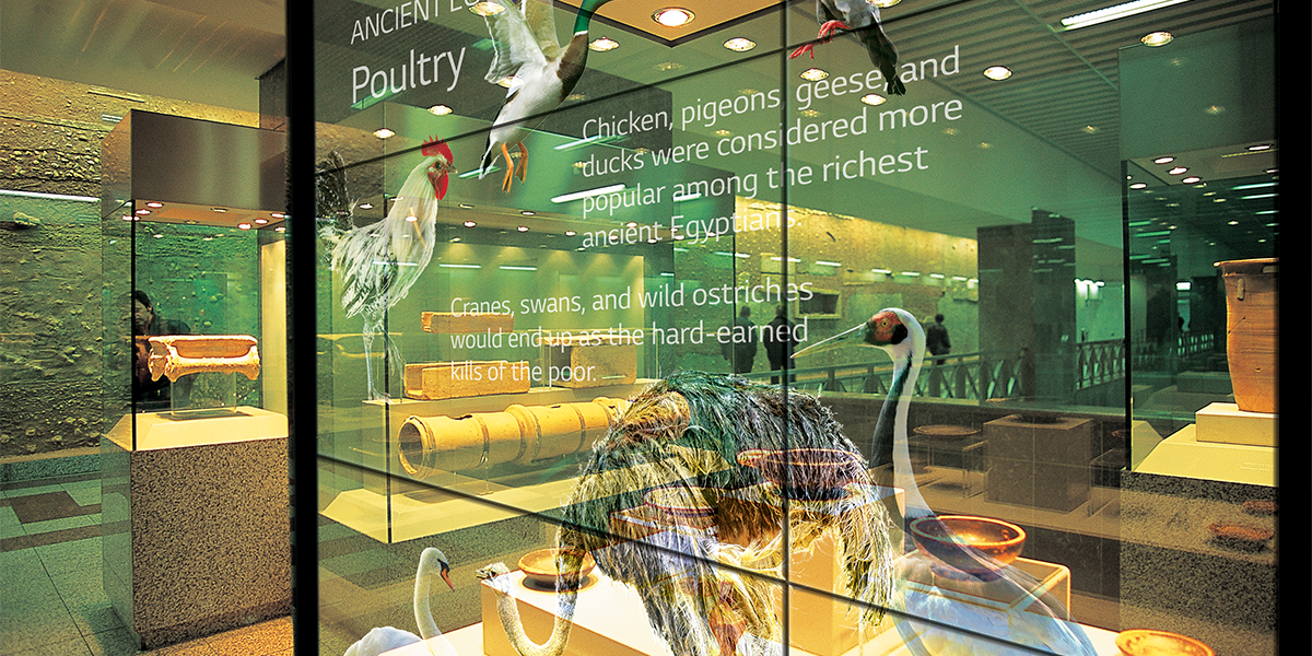 lg oled museum lg oled museum