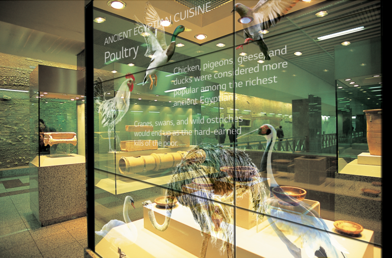LG to Show off the Power of Transparent Displays at InfoComm 2023