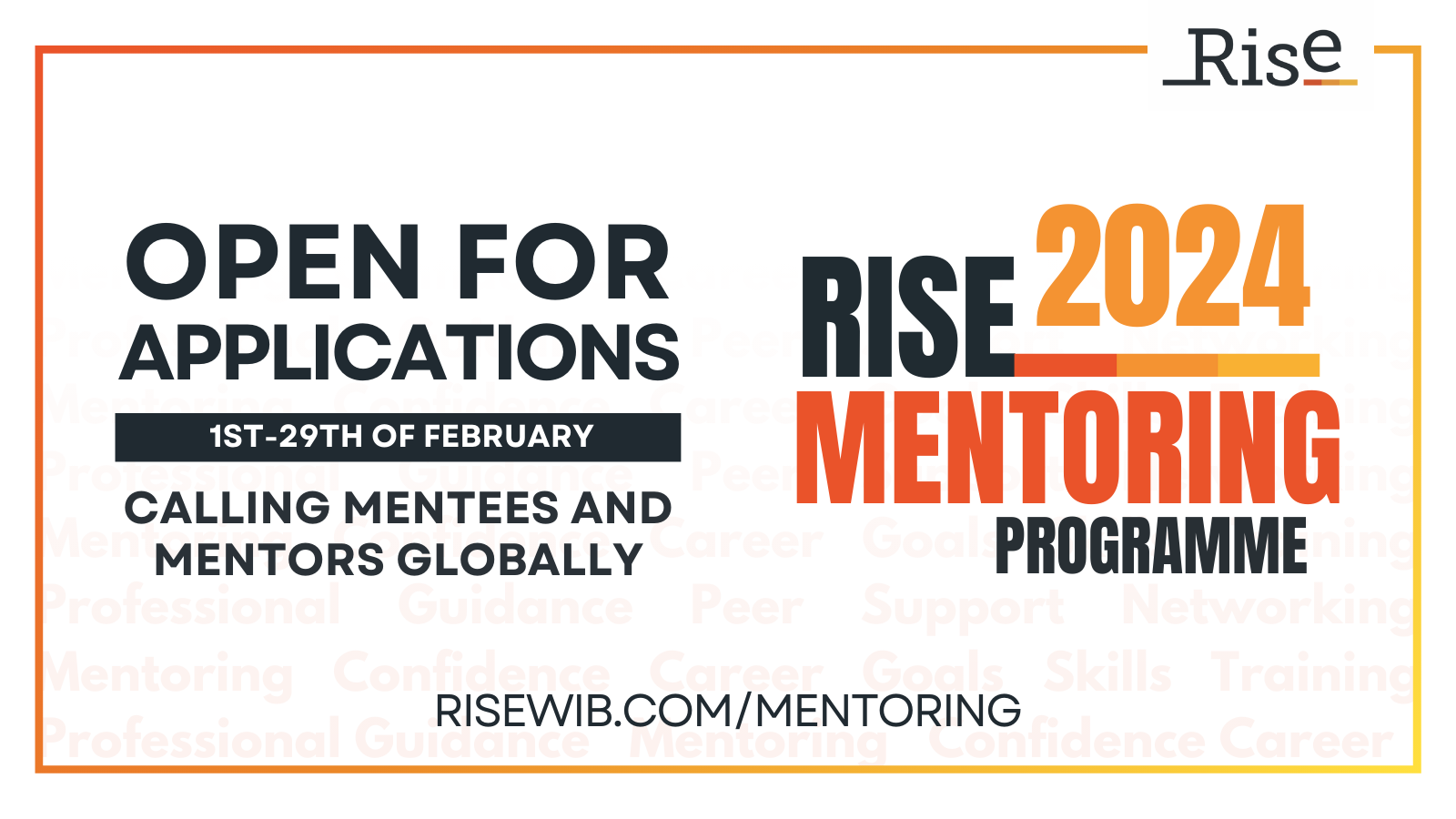 Rise Mentoring Programme 1