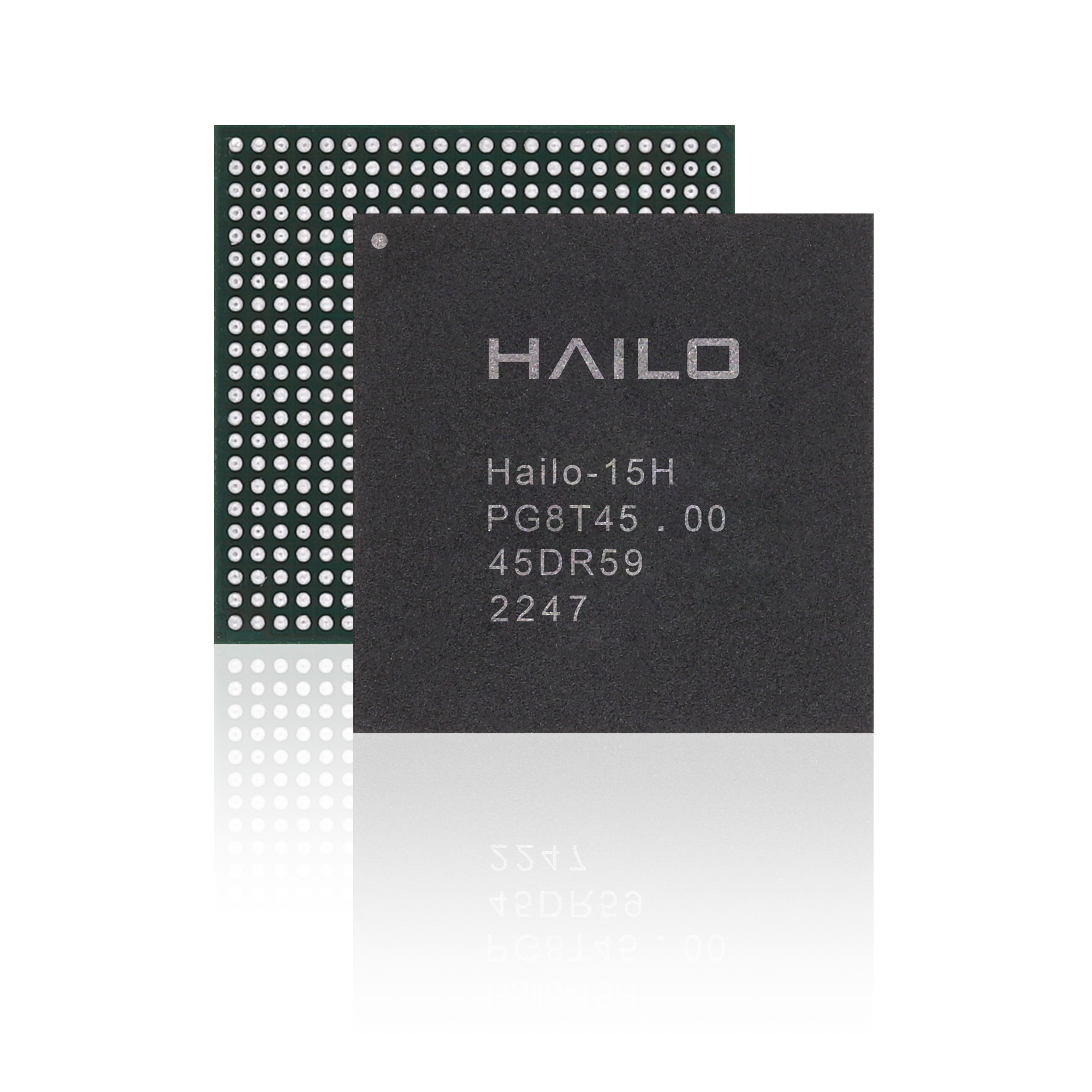 Hailo 15 AI Vision Processors
