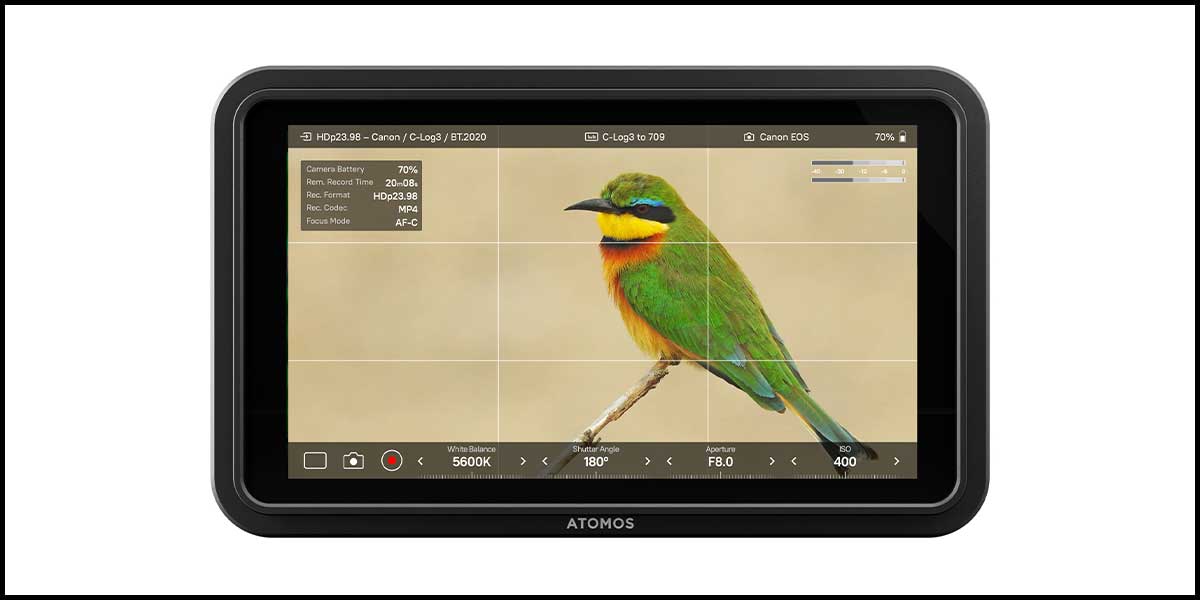 atomos shinobi hdr monitor