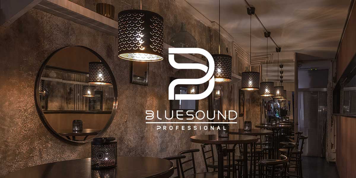 bluesound professional logo