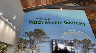 Access Networks Answers the Call of the Wild at Busch Wildlife Sanctuary