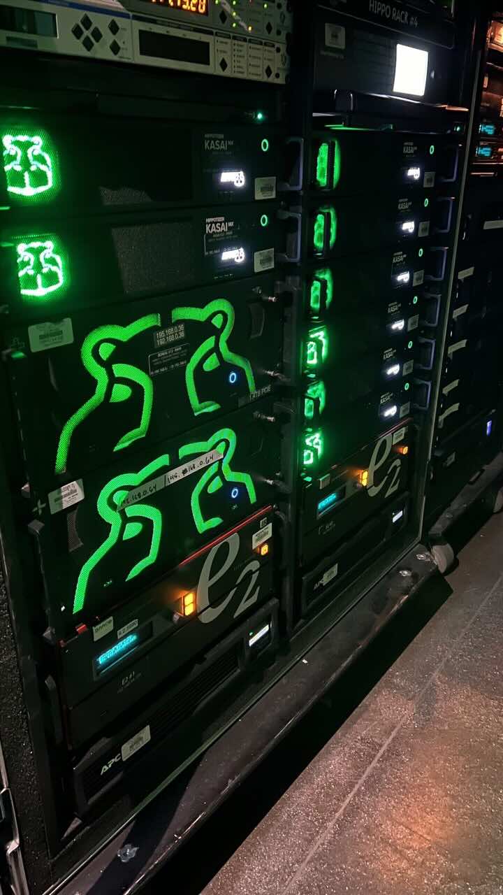Green Hippo 3