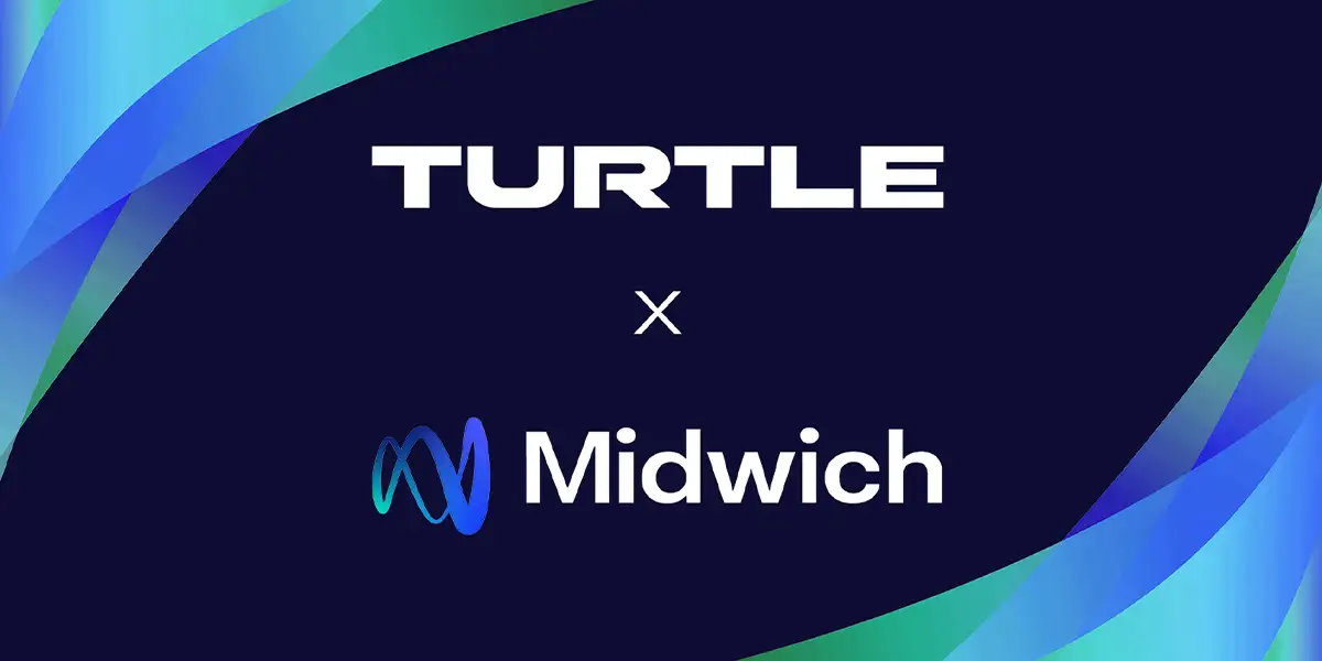 turtle midwich turtle midwich